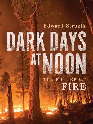 Dark Days at Noon: The Future of Fire - Edward Struzik - cover
