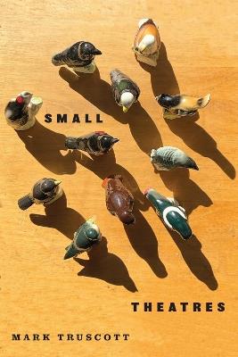 Small Theatres - Mark Truscott - cover