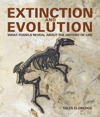 Extinction and Evolution: What Fossils Reveal about the History of Life - Niles Eldredge - cover