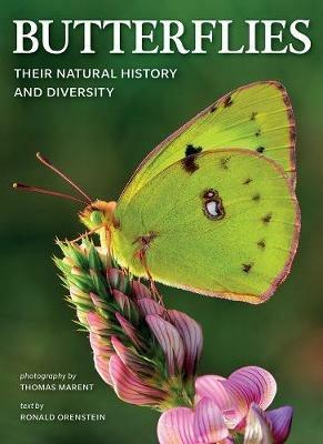 Butterflies: Their Natural History and Diversity - Ronald Orenstein - cover