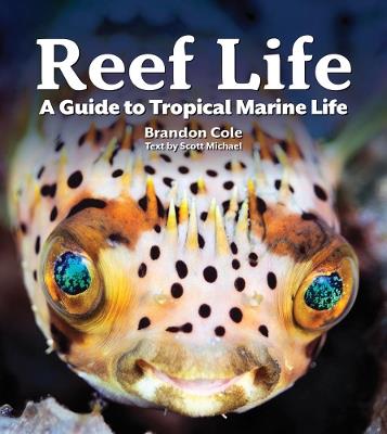 Reef Life: A Guide to Tropical Marine Life - Michael Scott - cover