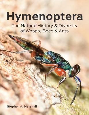 Hymenoptera: The Natural History and Diversity of Wasps, Bees and Ants - Stephen A Marshall - cover