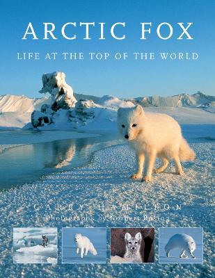 Arctic Fox: Life at the Top of the World - Garry Hamilton - cover