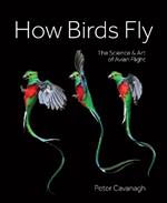 How Birds Fly: The Science and Art of Avian Flight