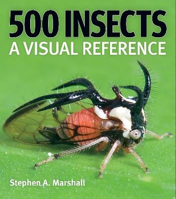 500 Insects: A Visual Reference - Stephen A Marshall - cover