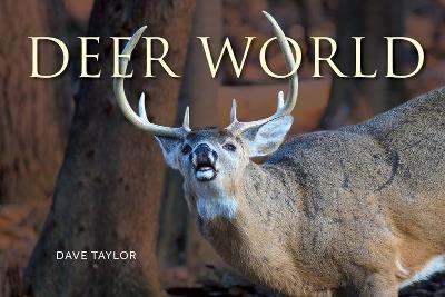 Deer World - Dave Taylor - cover
