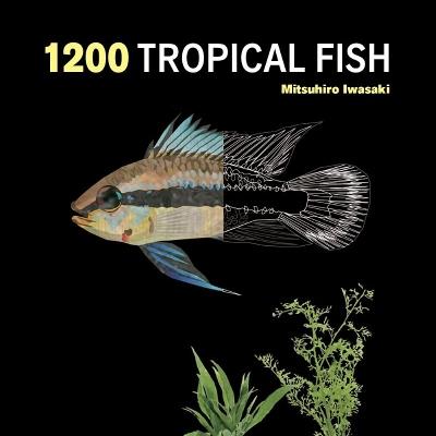 1200 Tropical Fish: An Illustrated Guide to 1200 Fish Species from Around the World - Mitsuhiro Iwasaki - cover