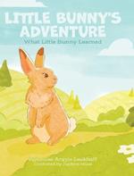 Little Bunny's Adventure: What Little Bunny Learned