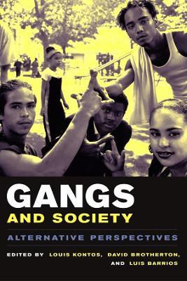 Gangs and Society: Alternative Perspectives - cover