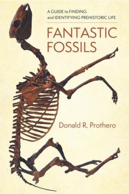 Fantastic Fossils: A Guide to Finding and Identifying Prehistoric Life - Donald R. Prothero - cover