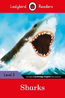 Ladybird Readers Level 3 - Sharks (ELT Graded Reader) - Ladybird - cover