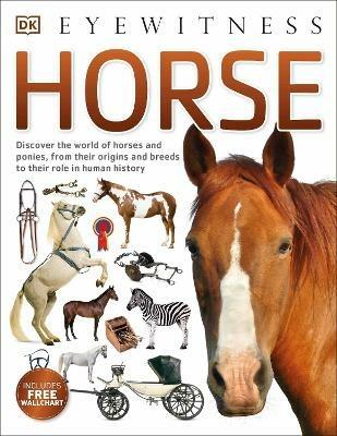 Horse - DK - cover