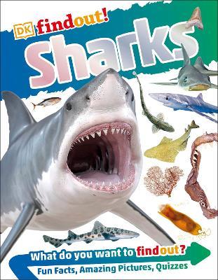 DKfindout! Sharks - DK - cover