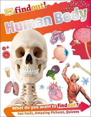DKfindout! Human Body - DK - cover