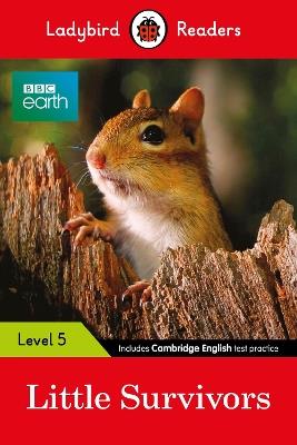 Ladybird Readers Level 5 - BBC Earth - Little Survivors (ELT Graded Reader) - Ladybird - cover