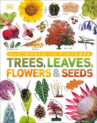 Our World in Pictures: Trees, Leaves, Flowers & Seeds - DK - cover