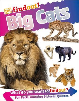 DKfindout! Big Cats - DK - cover