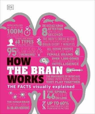 How the Brain Works: The Facts Visually Explained - DK - cover