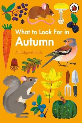 What to Look For in Autumn - Elizabeth Jenner - cover