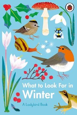 What to Look For in Winter - Elizabeth Jenner - cover