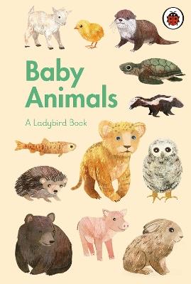 A Ladybird Book: Baby Animals - cover