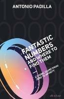Fantastic Numbers and Where to Find Them: A Cosmic Quest from Zero to  Infinity - Antonio Padilla - Libro in lingua inglese - Penguin Books Ltd -  | IBS