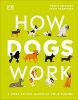 How Dogs Work: A Head-to-Tail Guide to Your Canine - Daniel Tatarsky - cover