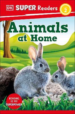 DK Super Readers Level 2 Animals at Home - DK - cover