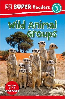 DK Super Readers Level 3 Wild Animal Groups - DK - cover