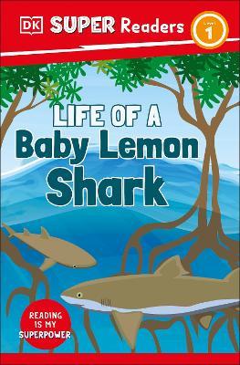 DK Super Readers Level 1 Life of a Baby Lemon Shark - DK - cover