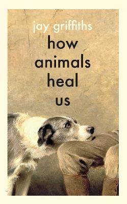 How Animals Heal Us - Jay Griffiths - cover