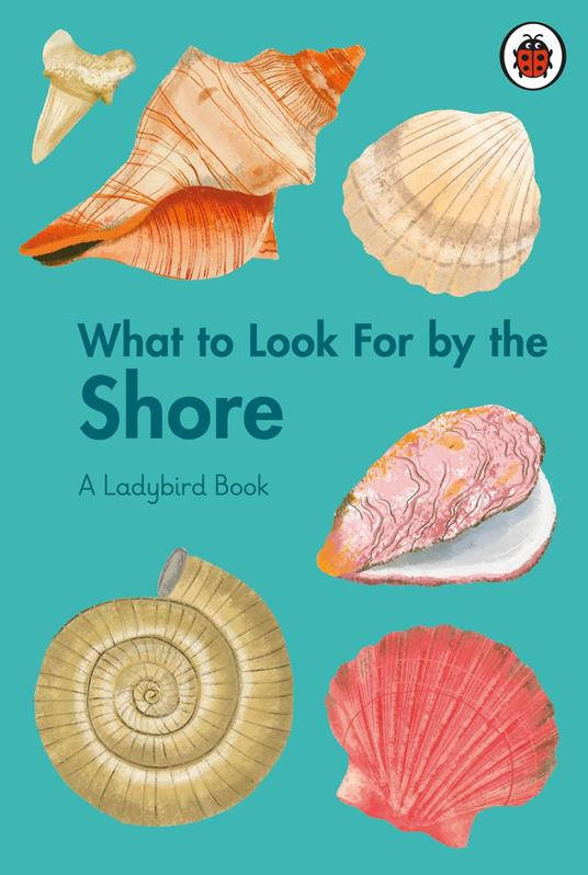What to Look For by the Shore - Becky Brown,Laura Martín - ebook