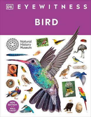 Bird - DK - cover