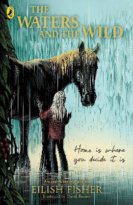 The Waters and the Wild - Eilish Fisher - cover