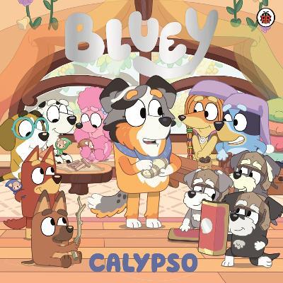 Bluey: Calypso - Bluey - cover