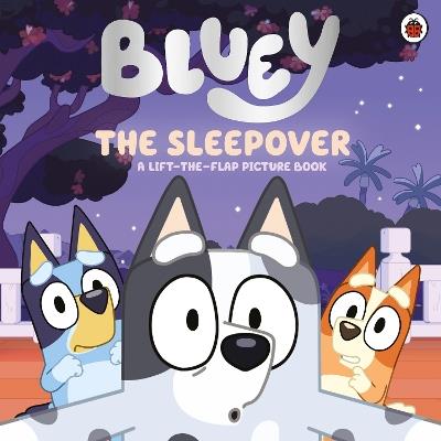 Bluey: The Sleepover - Bluey - cover