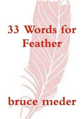 33 Words for Feather - Bruce Meder - cover