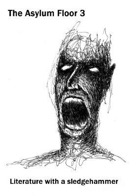 The Asylum Floor 3 - Wolfgang Carstens,Catfish McDaris,Matt Borczon - cover