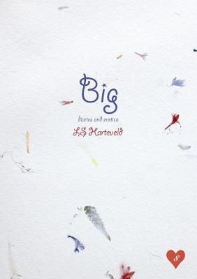 Big diaries and erotica - LS Harteveld - cover