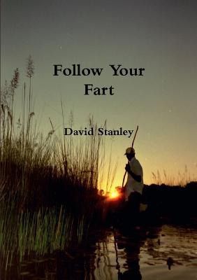 Follow Your Fart - David Stanley - cover