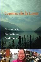 Camino De La Luna - Forgiveness (Without Pictures) - Pearl Howie - cover