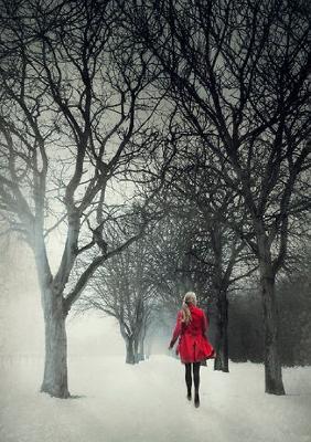 Stones in My Jar - Paul Stuart - cover