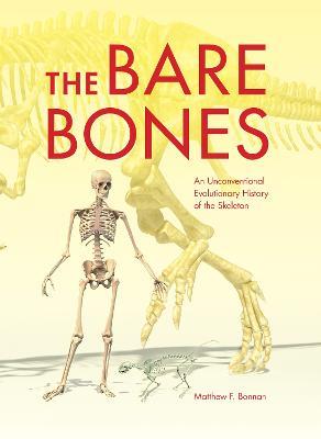 The Bare Bones: An Unconventional Evolutionary History of the Skeleton - Matthew F. Bonnan - cover