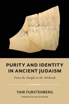 Purity and Identity in Ancient Judaism – From the Temple to the Mishnah - Yair Furstenberg,Sara Tova Brody - cover