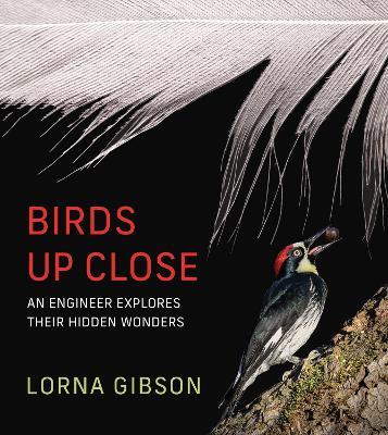 Birds Up Close: An Engineer Explores Their Hidden Wonders - Lorna Gibson - cover