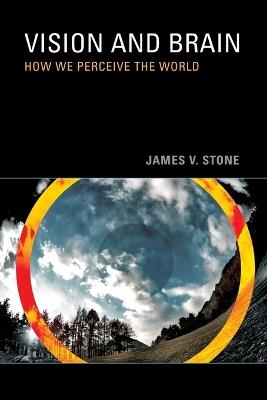 Vision and Brain: How We Perceive the World - James V. Stone - cover