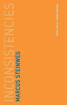 Inconsistencies - Marcus Steinweg - cover