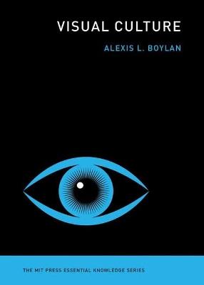 Visual Culture - Alexis L. Boylan - cover
