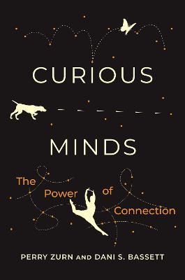 Curious Minds: The Power of Connection - Perry Zurn,Dani S. Bassett - cover