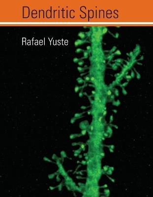Dendritic Spines - Rafael Yuste - cover